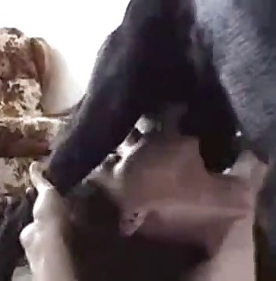 Black dog gets her hole utterly and fully banged hard